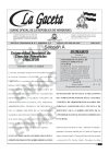 La Gaceta N° 36,551 del 04 de junio de 2024